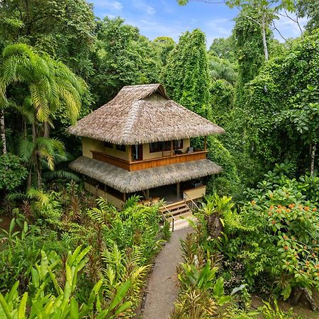 Copa De Arbol Beach & Rainforest Resort Drakes Bay Exterior foto