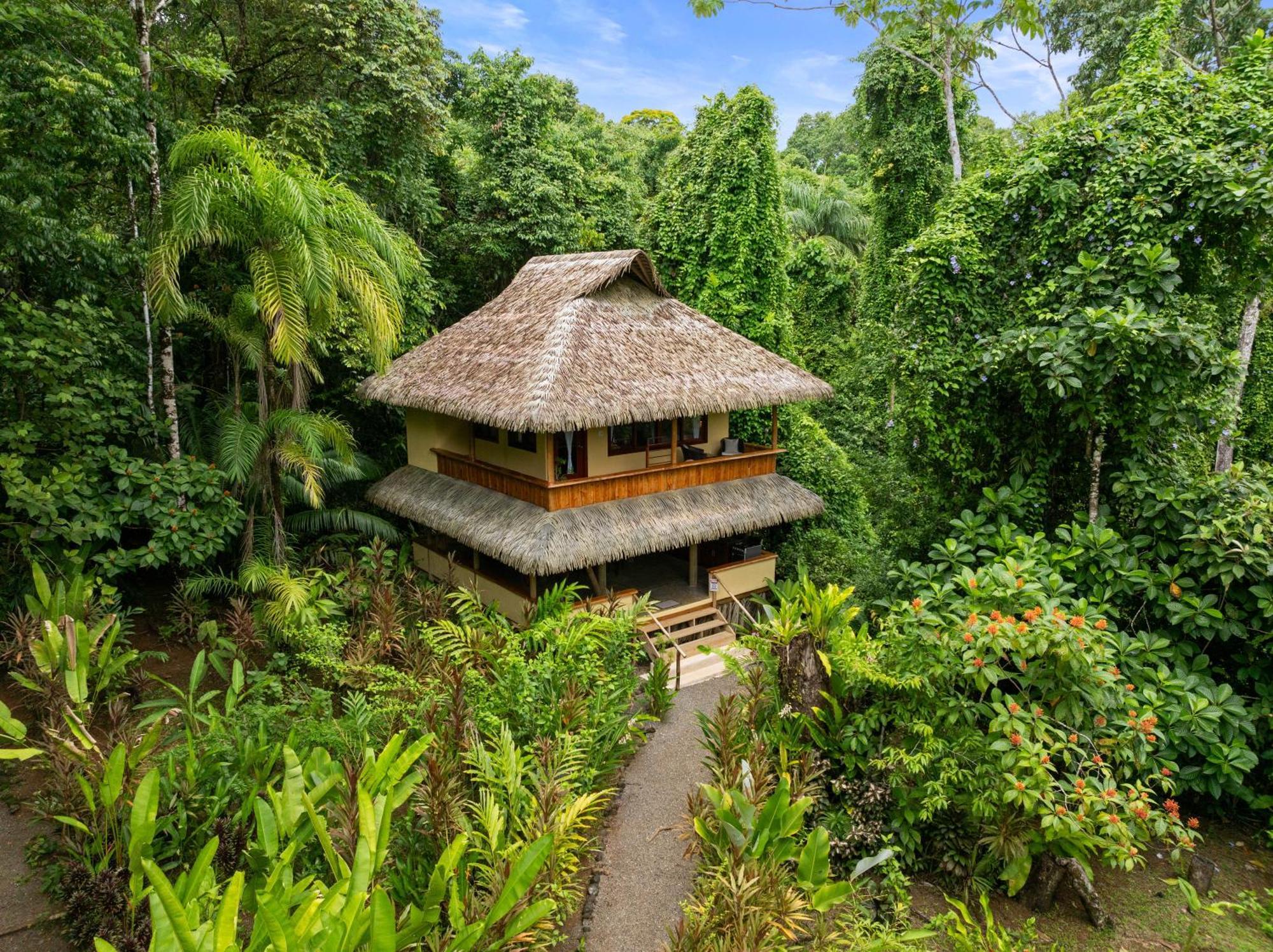 Copa De Arbol Beach & Rainforest Resort Drakes Bay Exterior foto