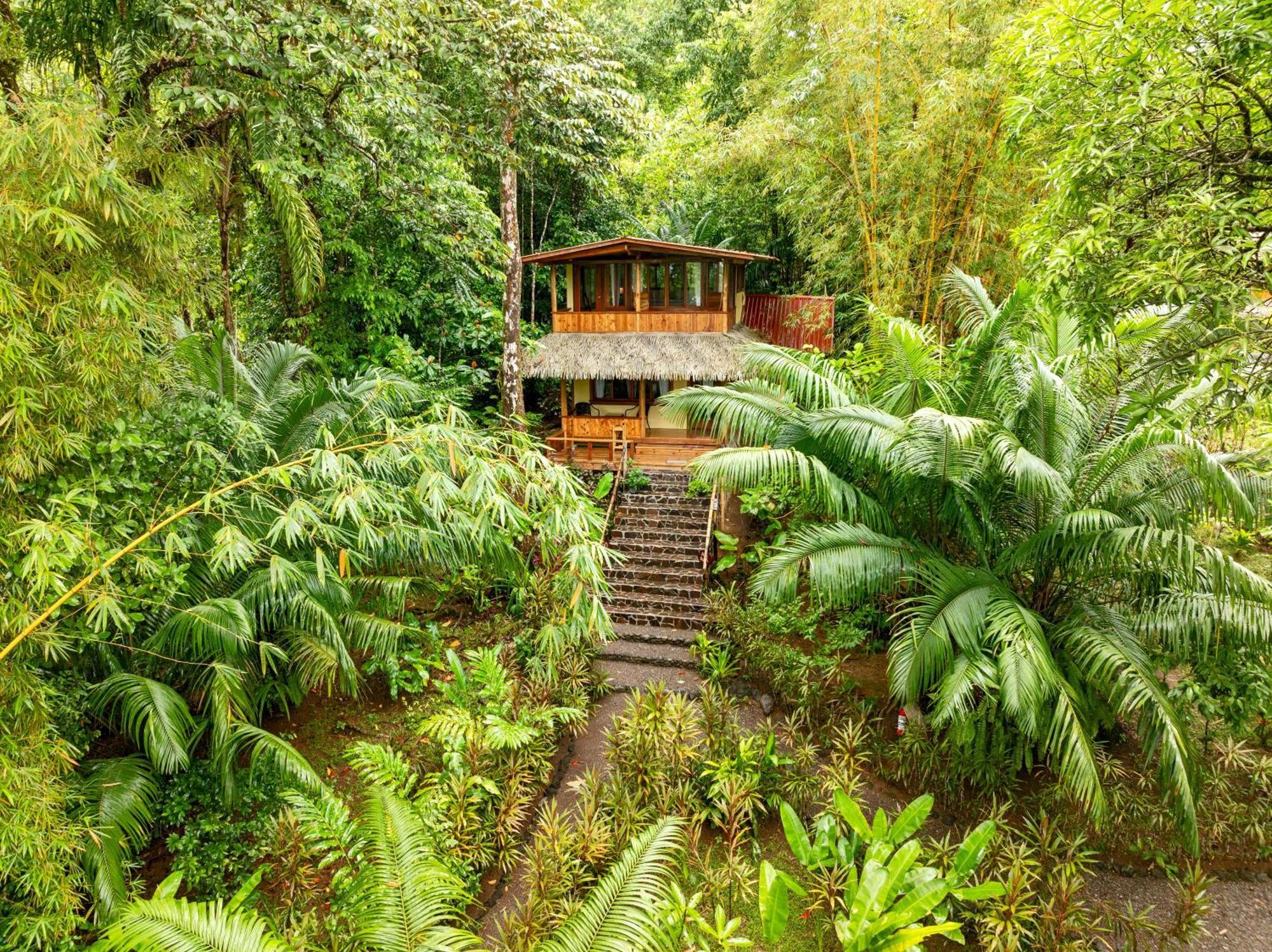 Copa De Arbol Beach & Rainforest Resort Drakes Bay Exterior foto