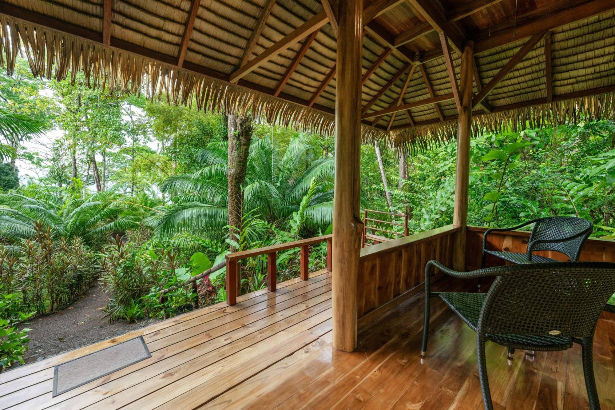 Copa De Arbol Beach & Rainforest Resort Drakes Bay Exterior foto