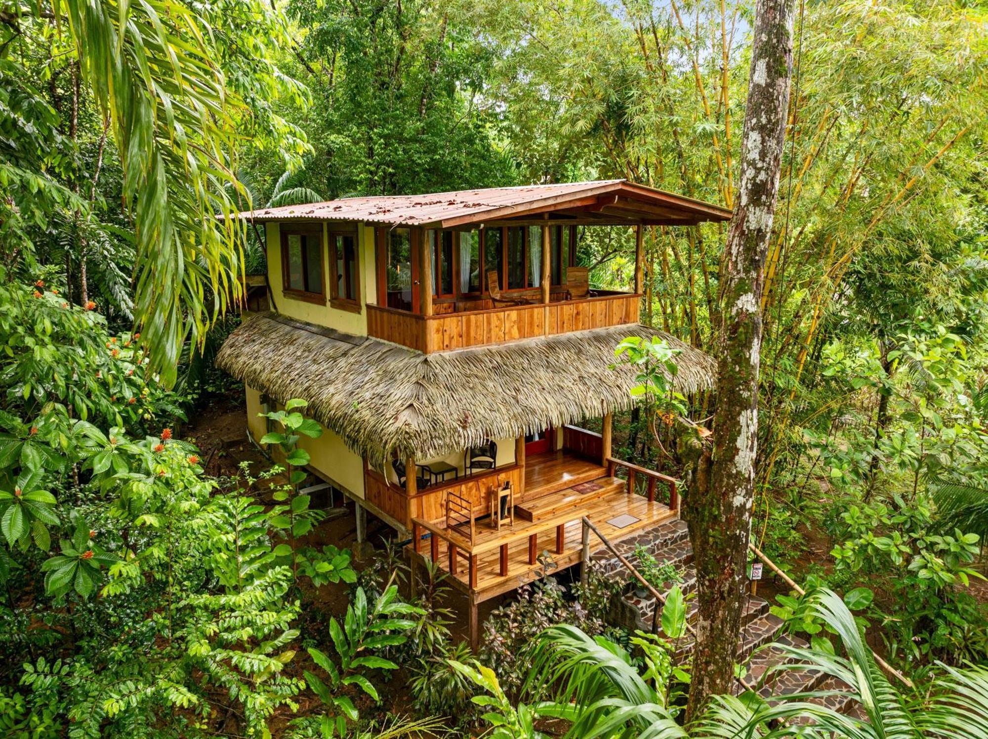 Copa De Arbol Beach & Rainforest Resort Drakes Bay Exterior foto