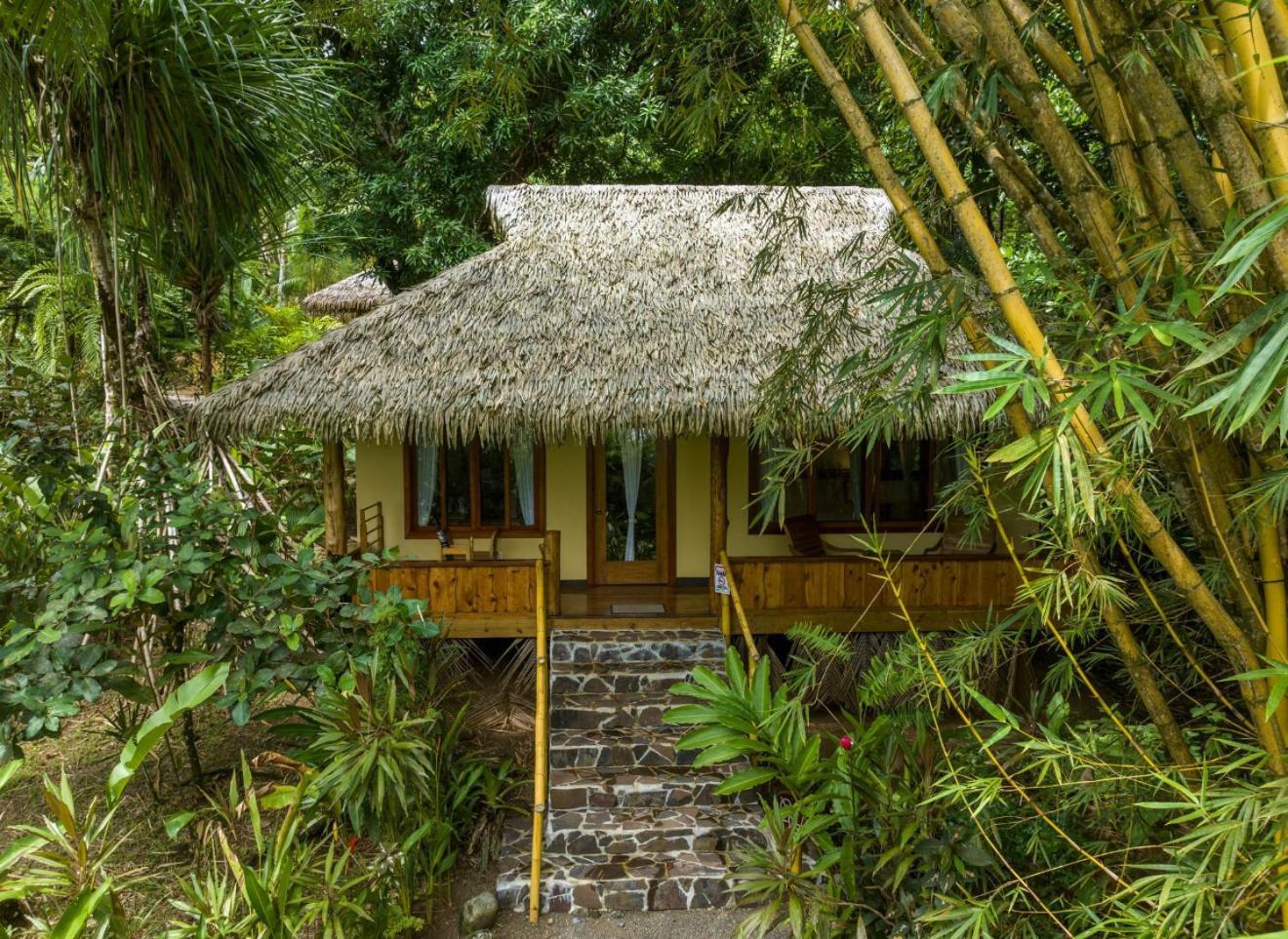 Copa De Arbol Beach & Rainforest Resort Drakes Bay Exterior foto