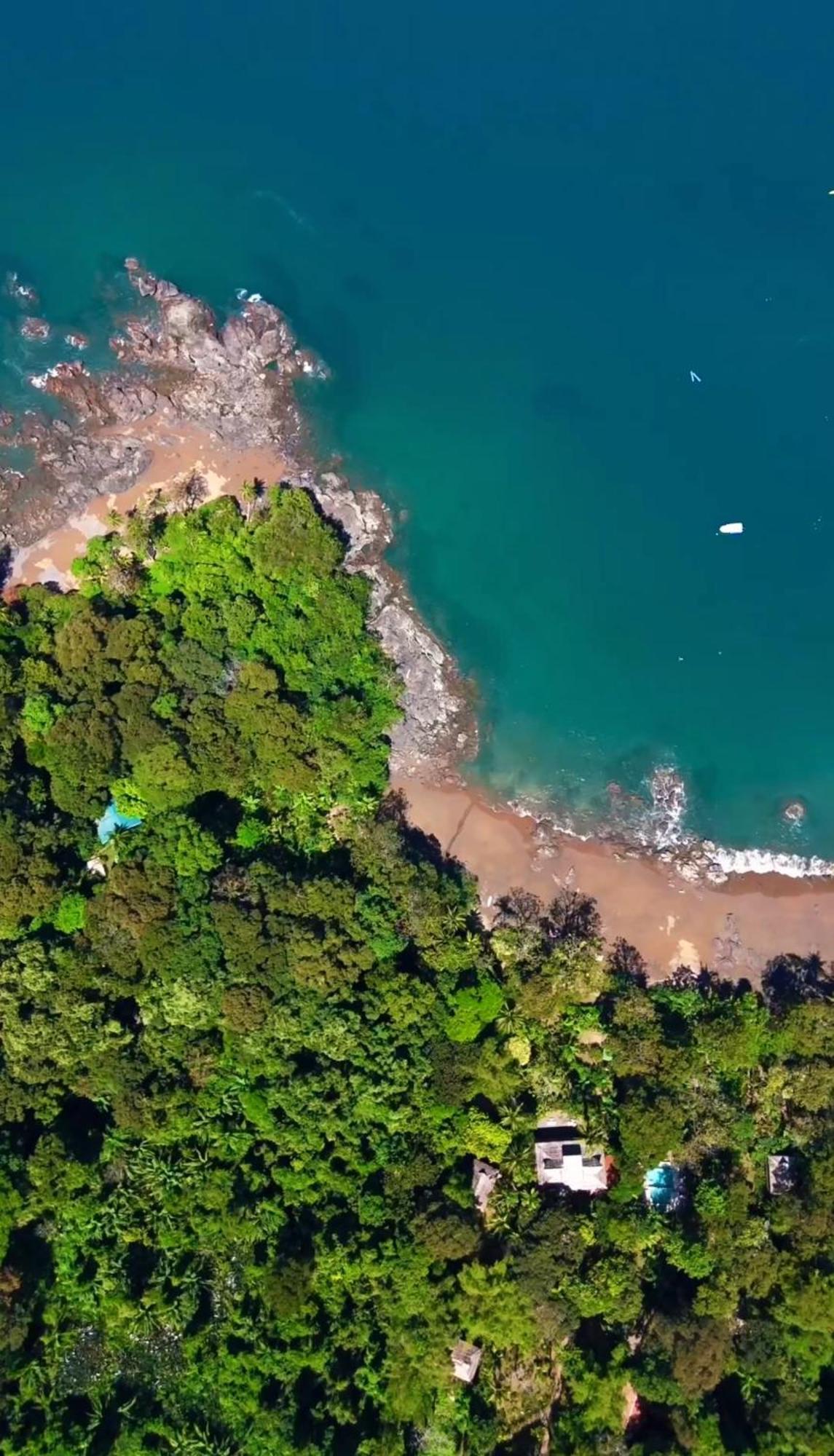 Copa De Arbol Beach & Rainforest Resort Drakes Bay Exterior foto