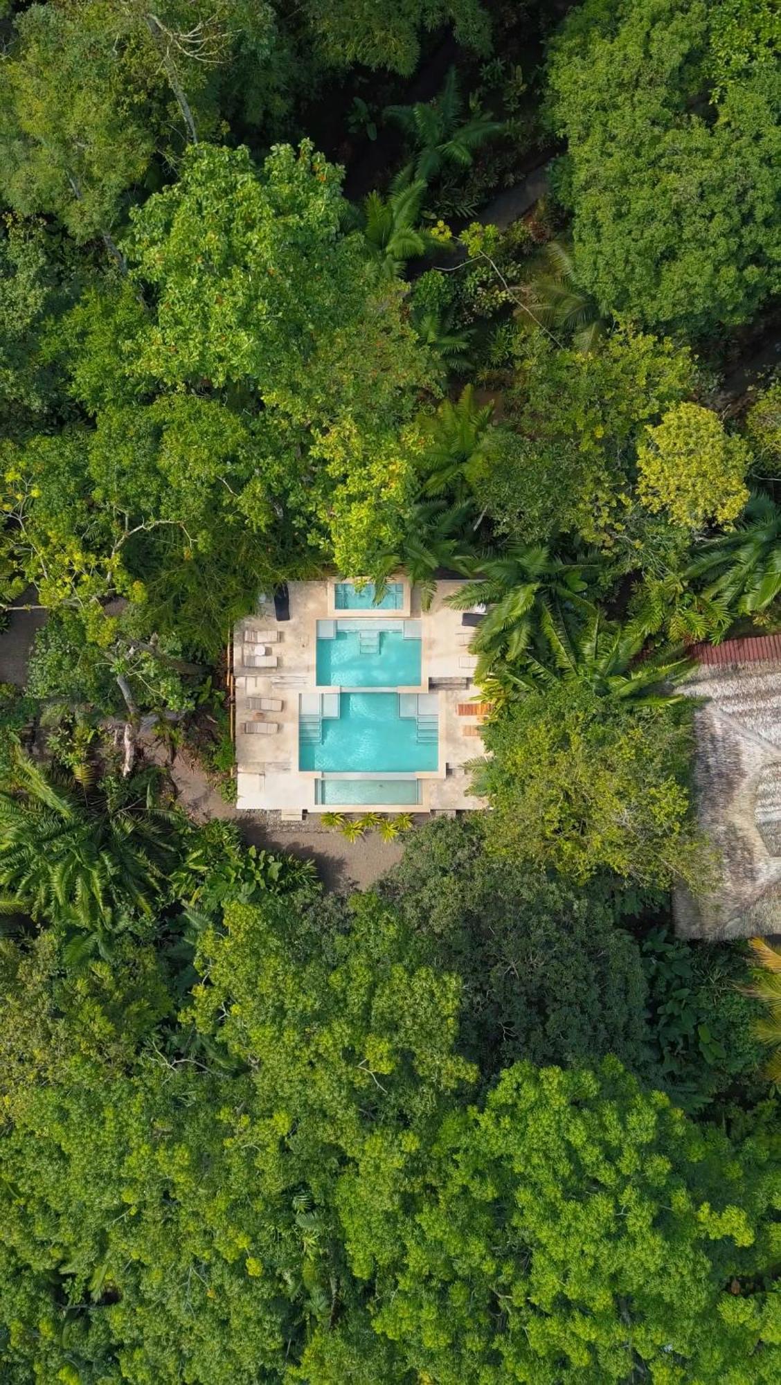 Copa De Arbol Beach & Rainforest Resort Drakes Bay Exterior foto