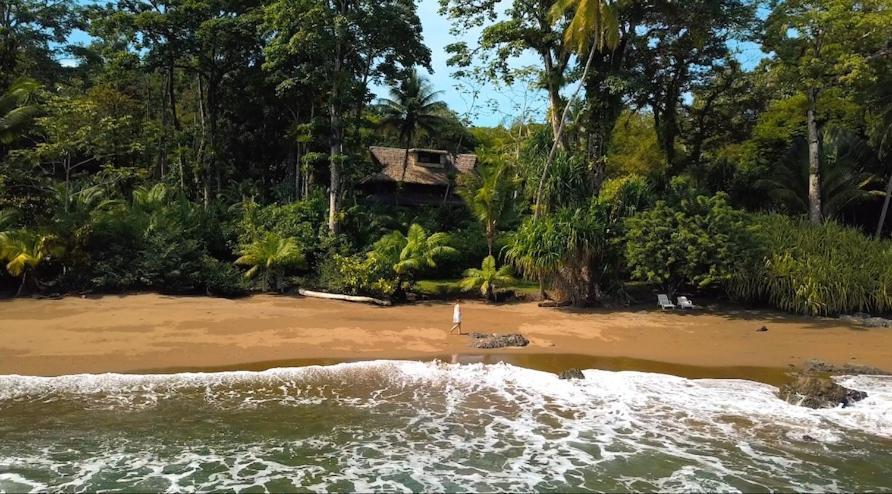 Copa De Arbol Beach & Rainforest Resort Drakes Bay Exterior foto